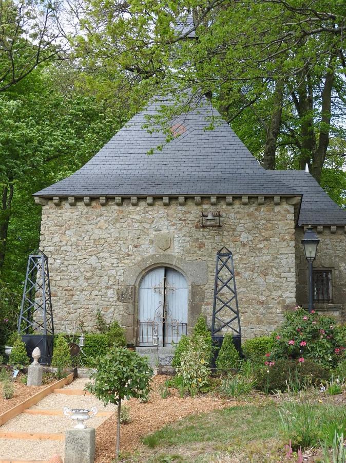Chateau De Montbrault Fleurigné Exteriér fotografie